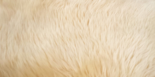 8. SI PIERDEN PELO