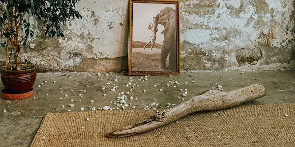 LA ALFOMBRA, ENTRE LA REALIDAD Y LA TEORÍA